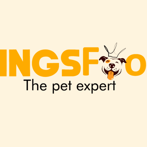 Gif Format of KingsFood Brand Identity Design