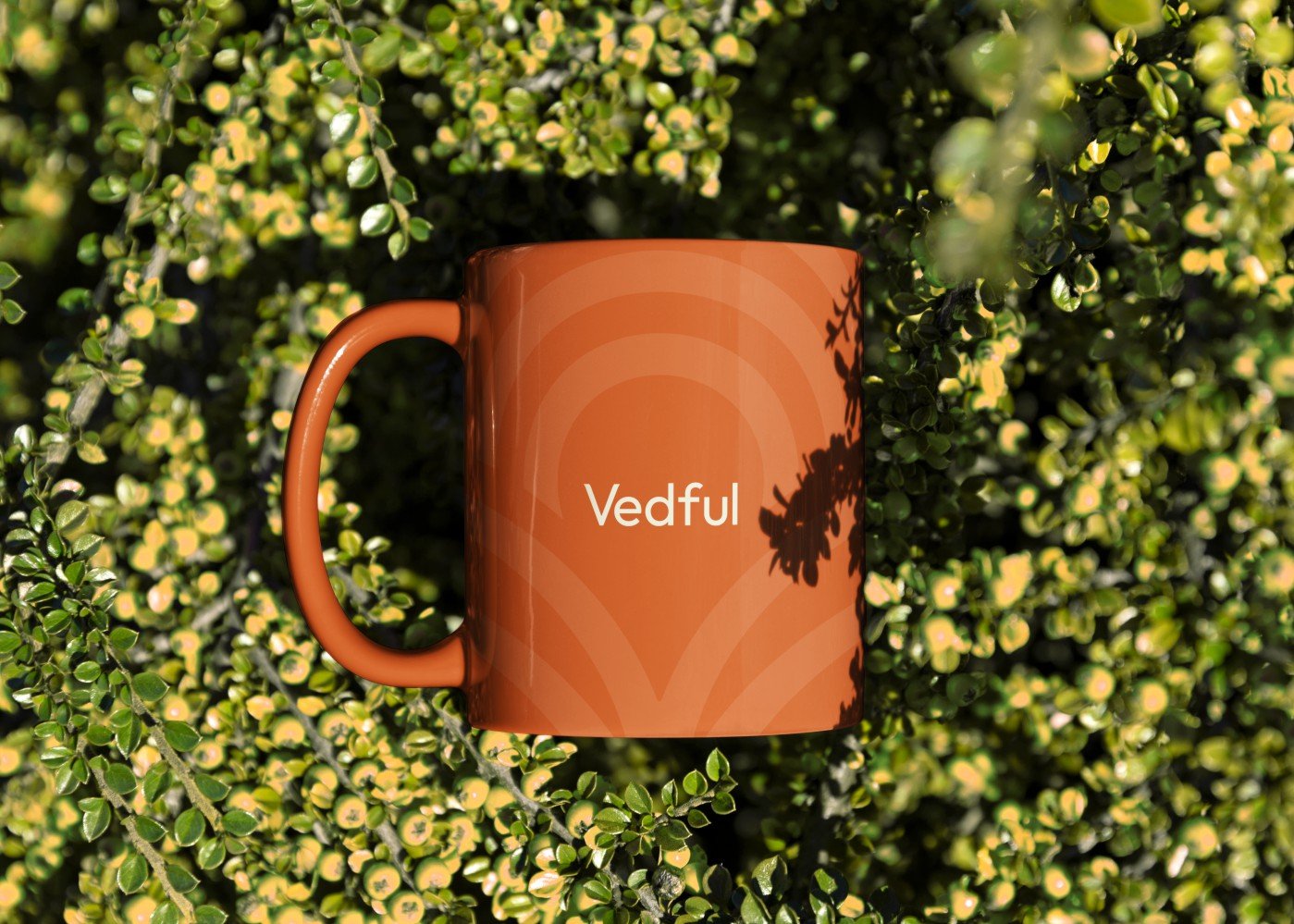 Vedful Behance-18