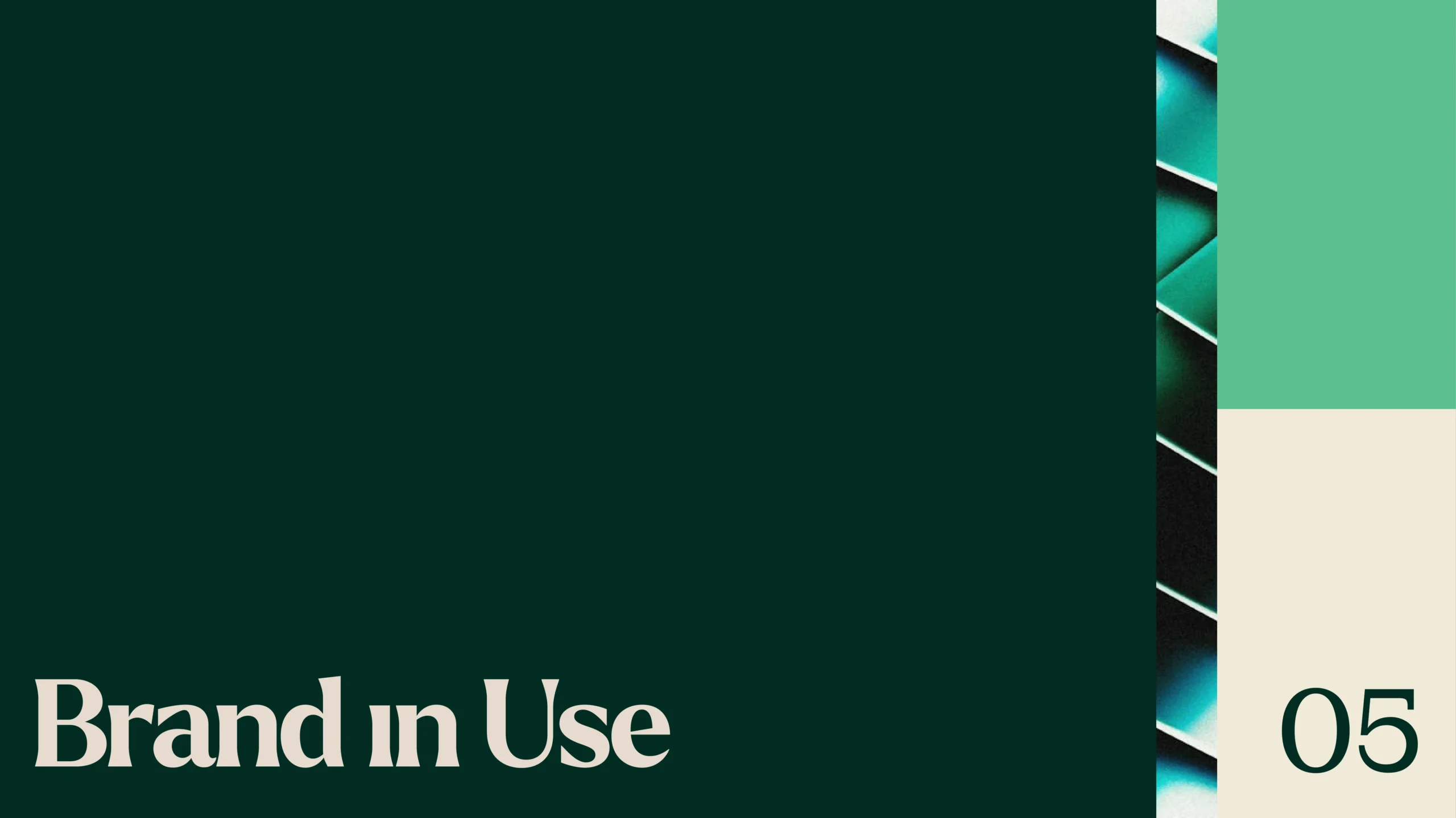 Proquity Brand Presentation-14