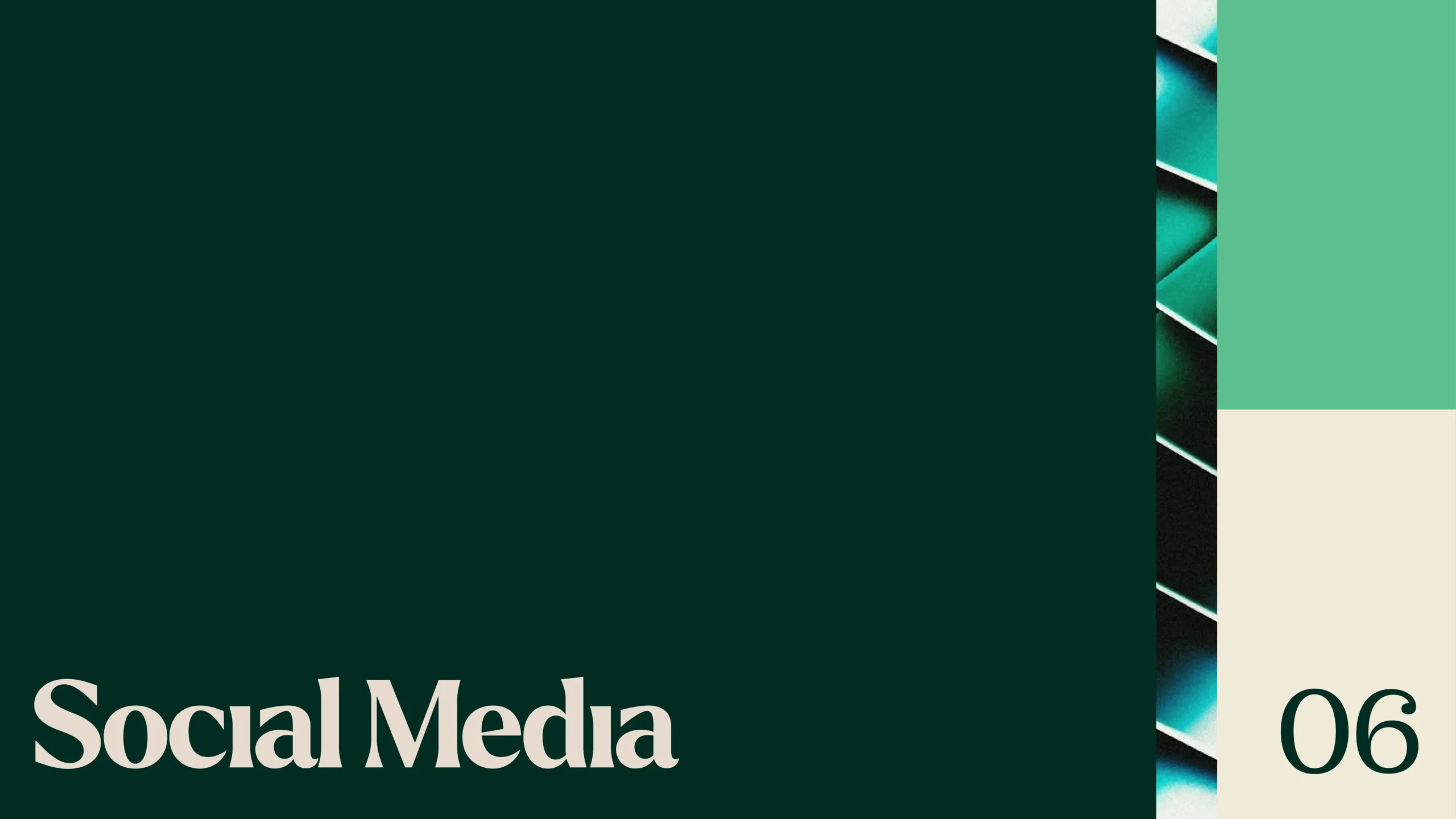 Proquity Brand Presentation-19