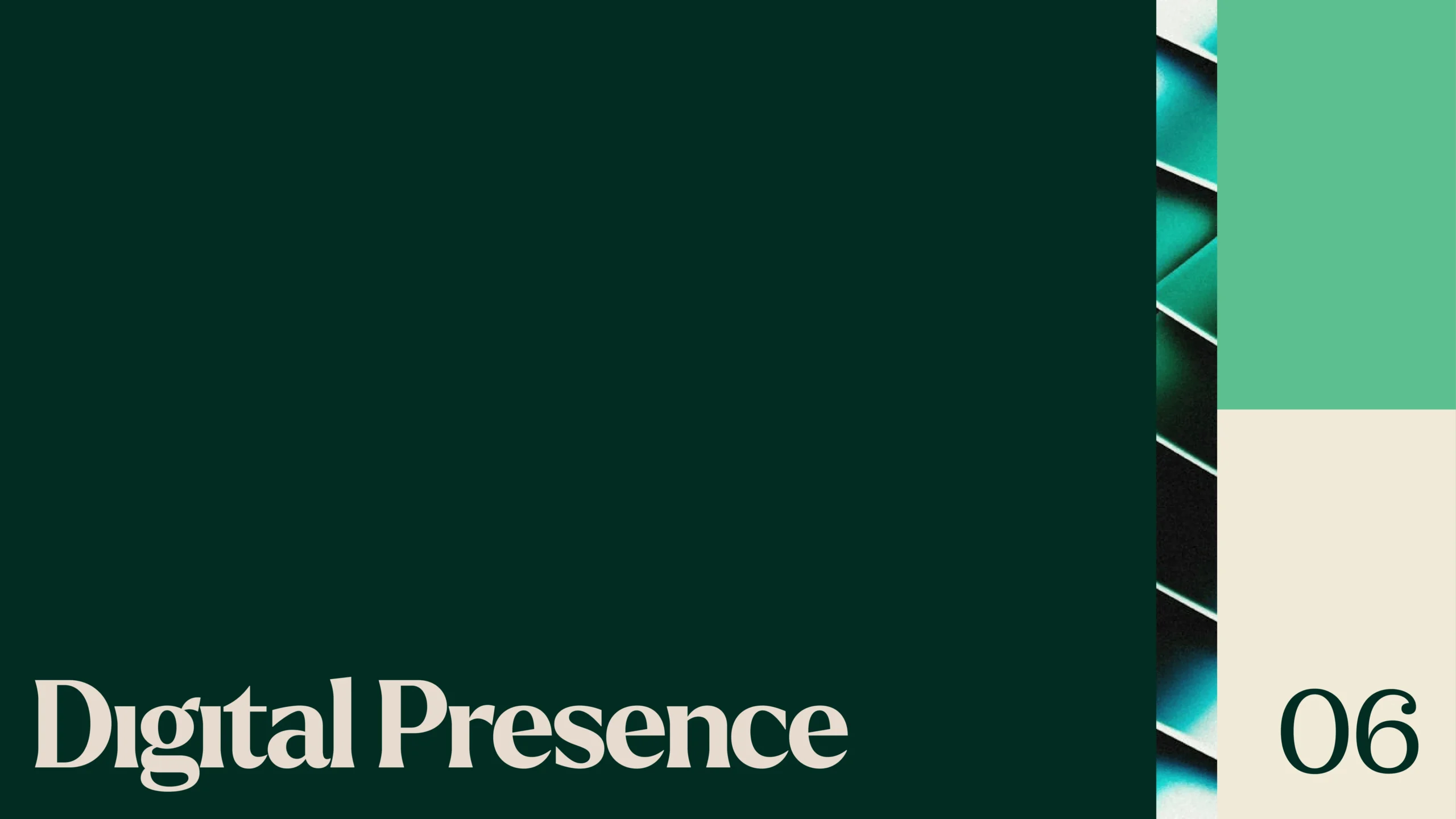 Proquity Brand Presentation-21